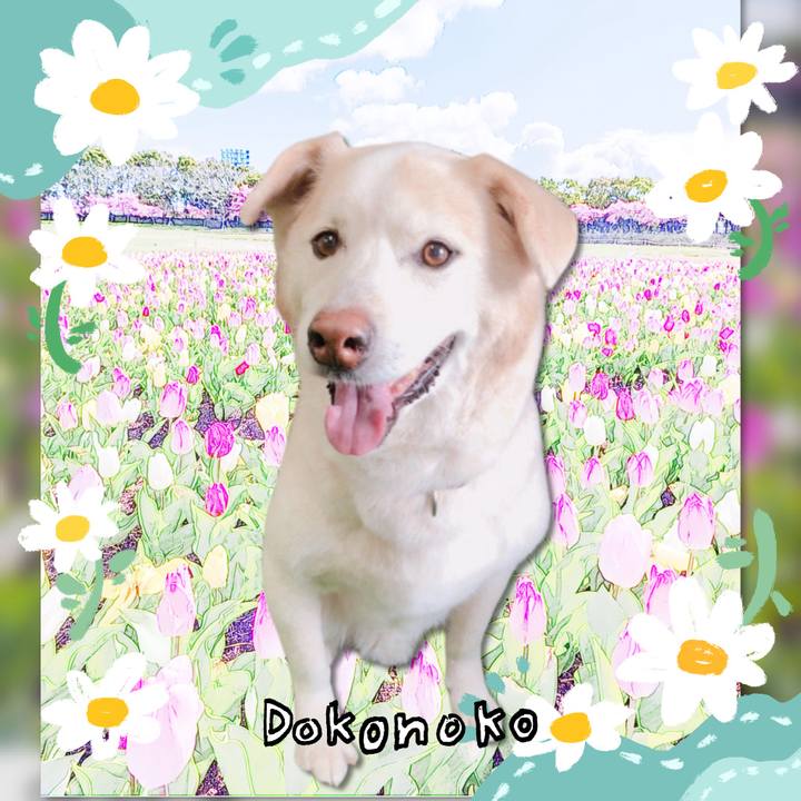 Ef6910ce 594a 47c9 bbf4 3711922edb9b 1712448063954