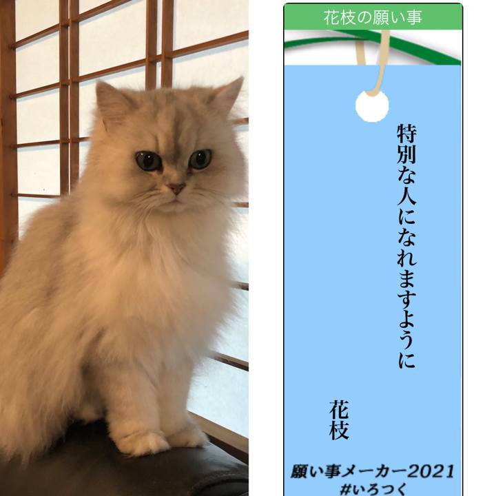 Ef691838 22b8 4b50 aabf a8085dfc0b20 1625576675848