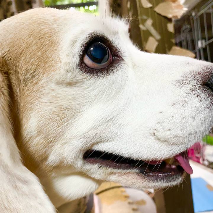 Ef6938ae fc64 48cb 9ffb a0336d581603 1653107340250