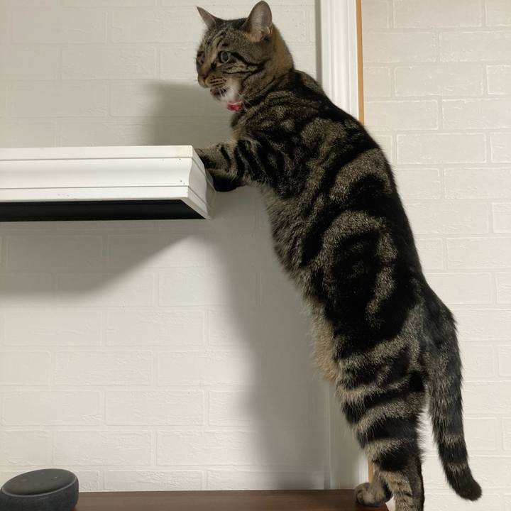 Ef694836 831d 44f0 8f94 7a84b8039be4 1637759972334