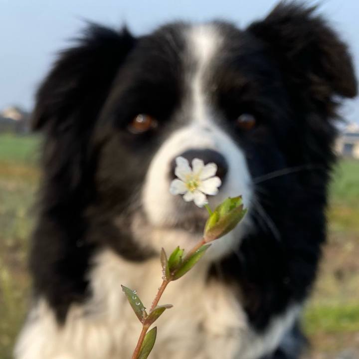 Ef696f0e 7b79 4410 adc0 69f90559d5d0 1615678539433