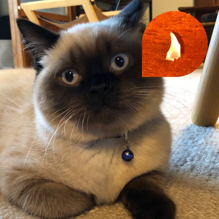 Ef6978ef 824d 4d18 914e 9f8d299e8dc3 1592558061832