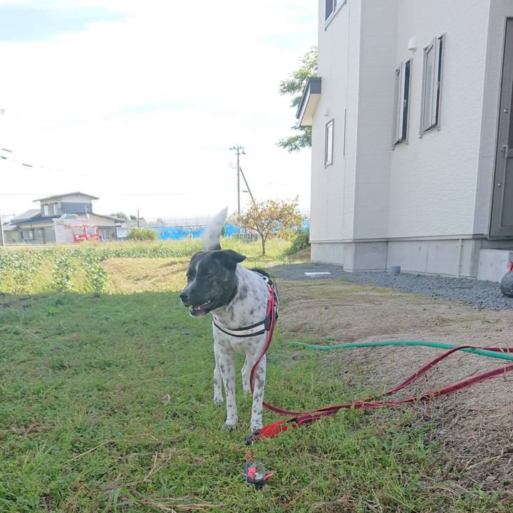 Ef69976a c51e 4452 8544 964bdaa5db53 1663384594772