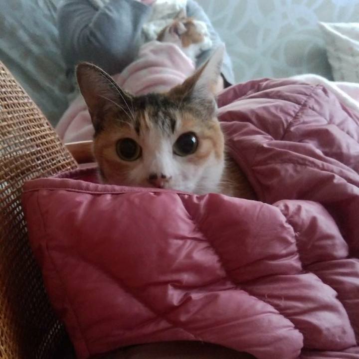 Ef69ab9c c2d3 42a0 880a e13e23619d00 1613043481952