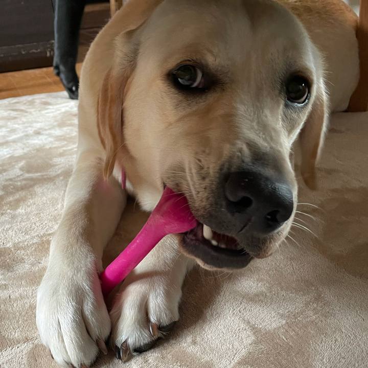 Ef69ac3d 5541 4ff7 aca5 eec3f98f4bcb 1634216406858