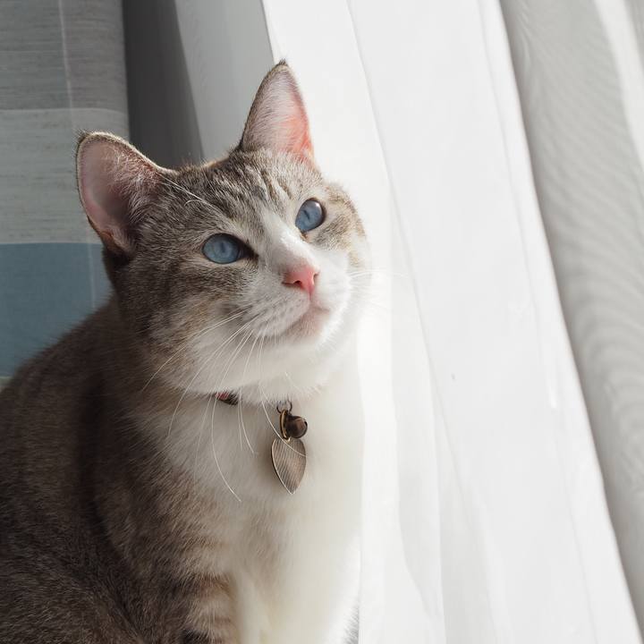 Ef69bb18 2901 4634 b356 1854ee13734c 1604376933798