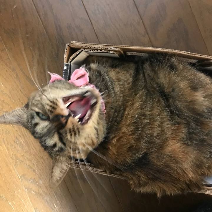 Ef69bb9e 3def 4bb6 8bf8 c96117a90304 1526523780873