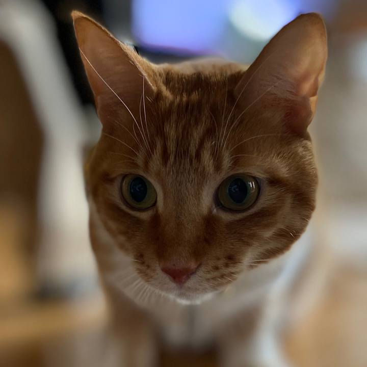 Ef69d168 bc04 40f0 88d9 756530fc6b13 1616829930568