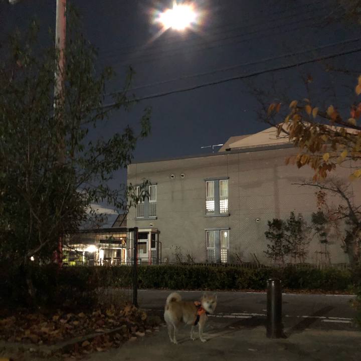 Ef6a1b57 17a3 45d0 b04f f4728d415a92 1576299750272