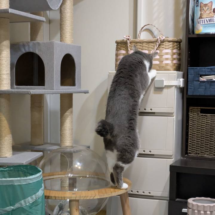 Ef6a37e1 02fa 43d5 b52d c2267d1065e2 1764939046811