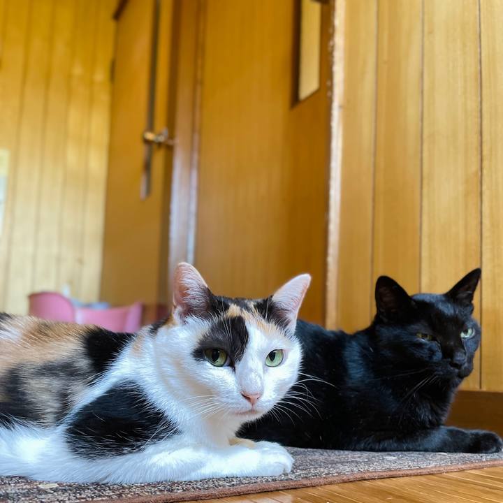 Ef6a4450 4d0d 4a43 a506 ab8dccc81f2f 1662602011889