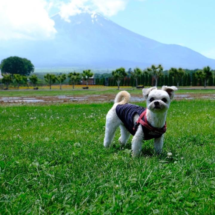 Ef6a4fd1 5e74 45c8 bfe2 70989827333a 1656509110554