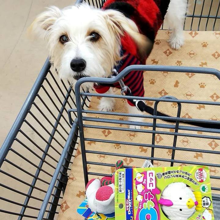 Ef6a56a1 ae26 4cb1 842a 07ba27994ebf 1701599578866