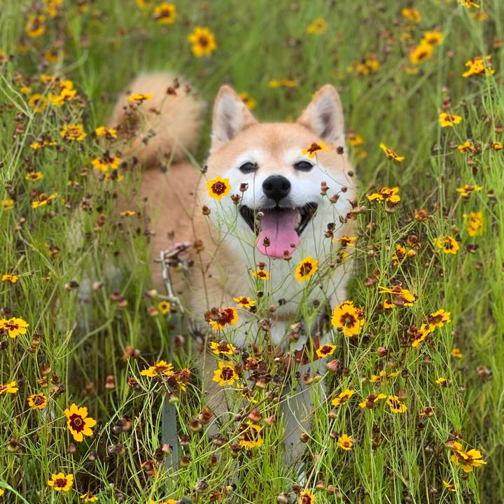 Ef6a6b14 6fb2 4525 ac7d bbfe30012c5c 1628293763932