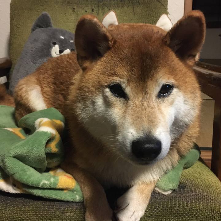 Ef6a6bb4 cd0f 477d ac92 9e9effbc2ec2 1601727922219