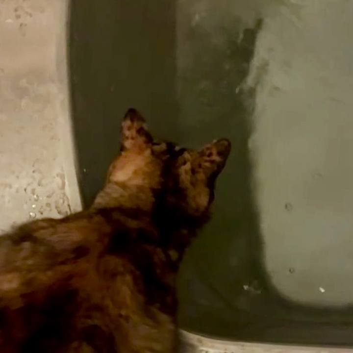 Ef6a6d39 3595 49e2 9d5b b8320d0a5a85 1762720730838