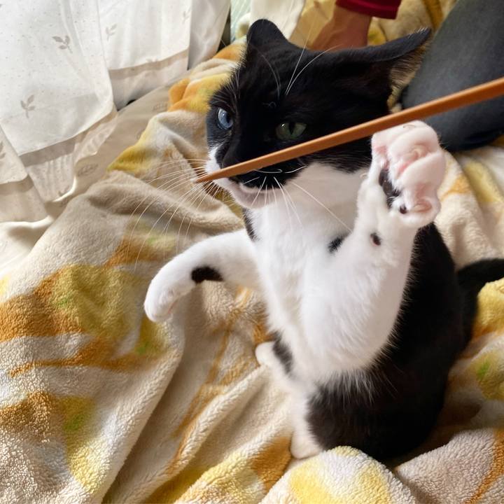 Ef6a7680 47cd 4ad2 8d99 bfae123914fe 1638016644591