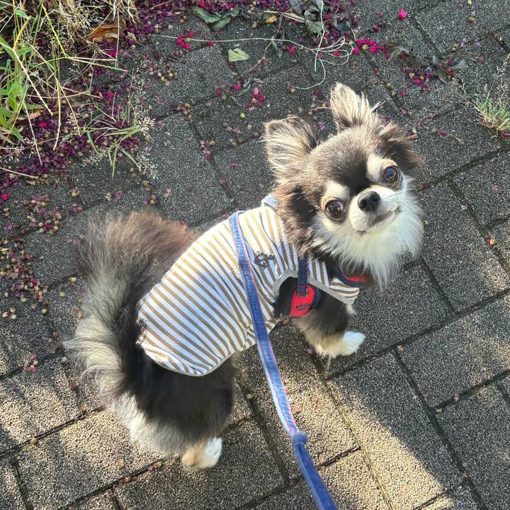 Ef6a87f9 736b 4f98 b746 24a1a4a3e77f 1726418211157