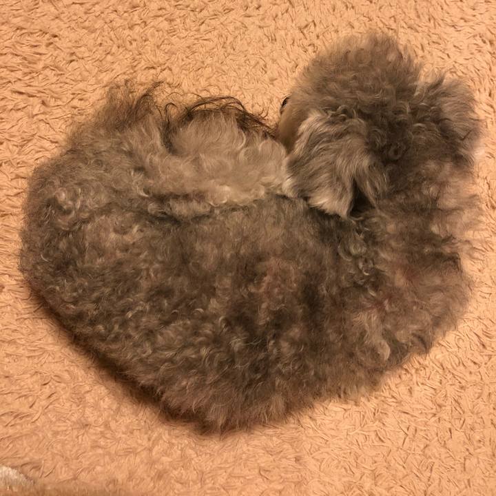 Ef6aaded f14e 4a8e 8793 cd8d3ff89552 1579269547260