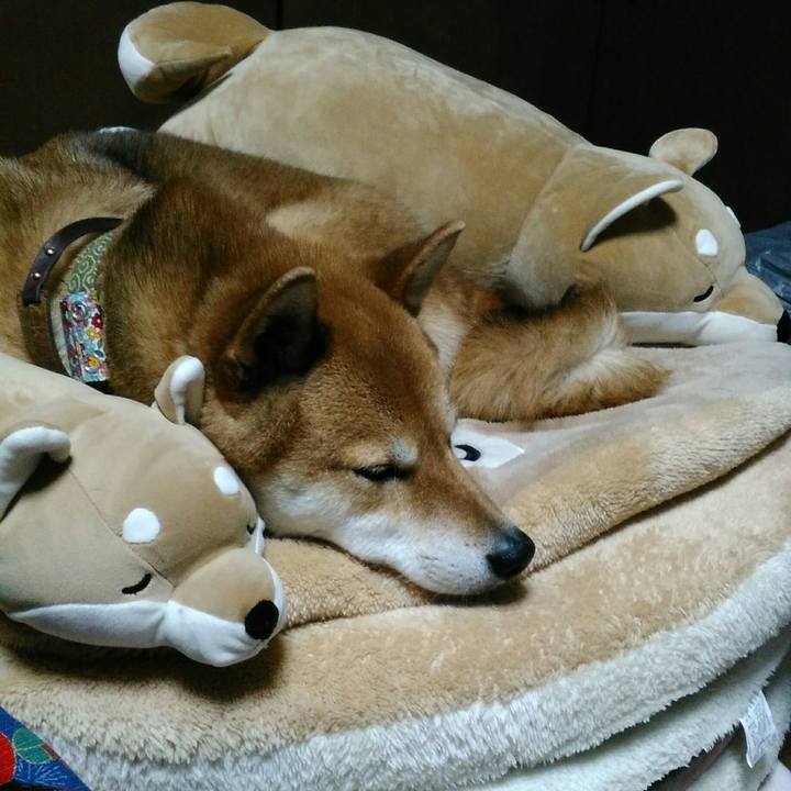 Ef6ab20d f9a7 4640 a76c 878867e4f2f8 1523350000536