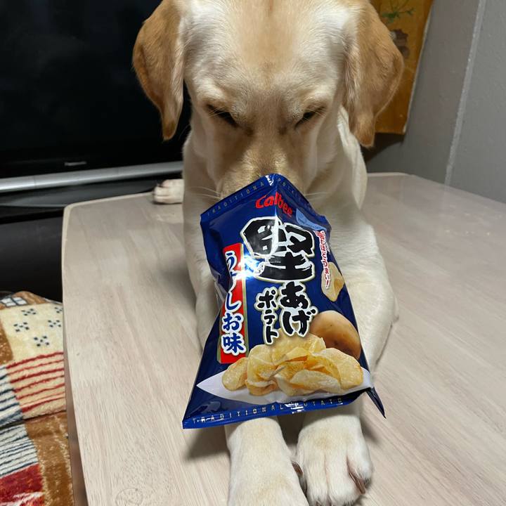 Ef6ac105 24a9 49c4 90b5 d33e096c37d5 1660832769125