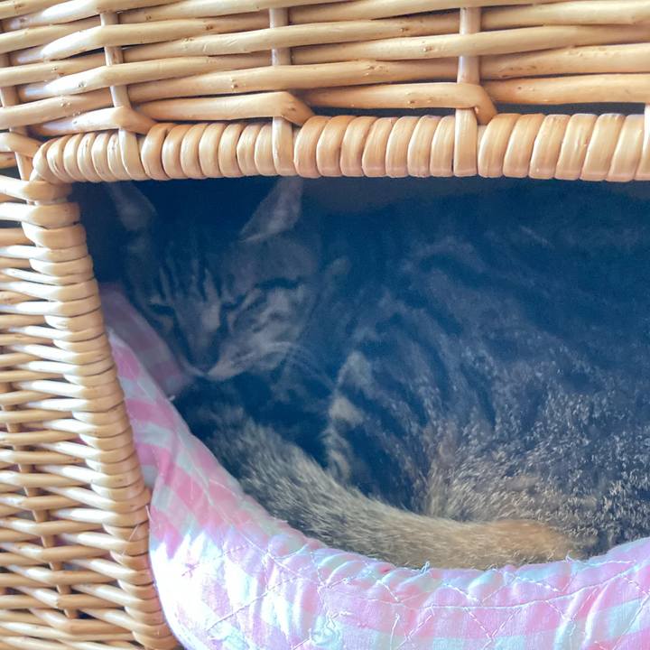 Ef6ac6d1 f230 43cb b91c 61ab34e6247c 1676785836199