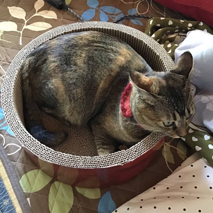 Ef6ac92a ed6b 4b25 b73a 137885d0180b 1602561059518