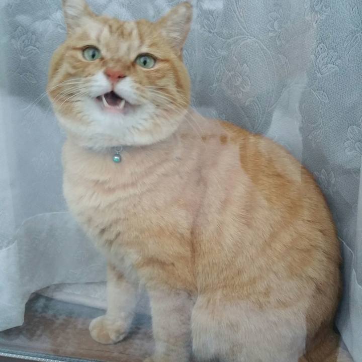 Ef6b00fe 5000 469f 9769 0af53444191a 1515745656214