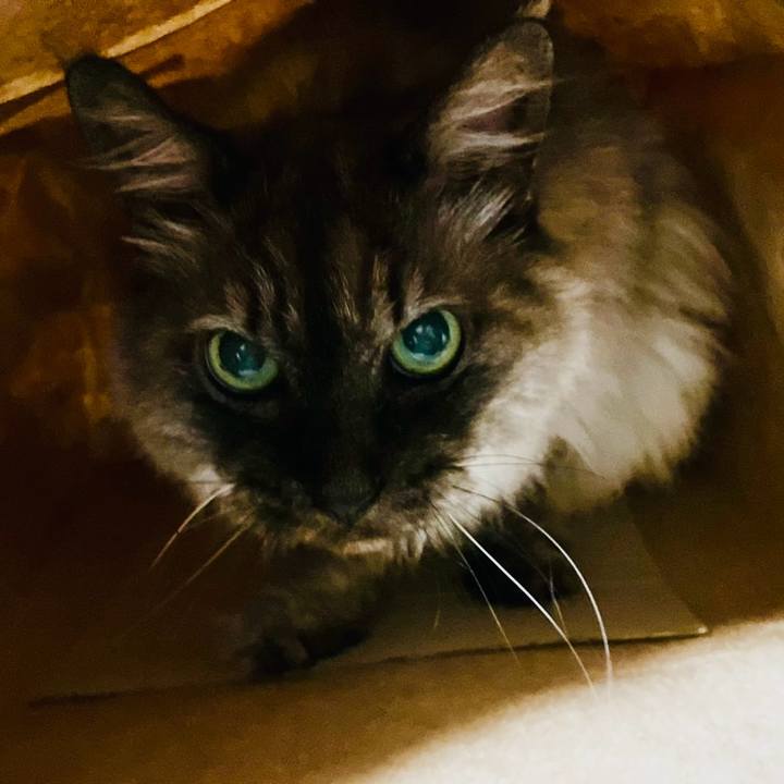 Ef6b4dc1 c5ae 412a b9bc d5c09d5cfa64 1760266381127