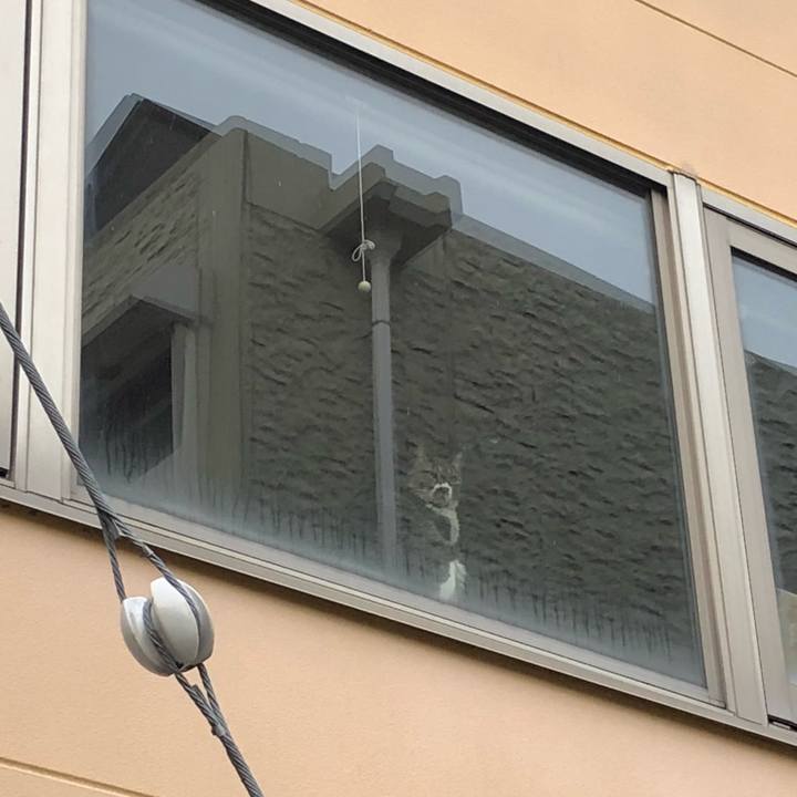 Ef6b65eb 01a1 4267 8e60 a476dbb82f81 1518254310418