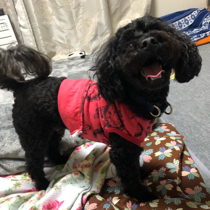 Ef6b6877 5827 48d6 a89f 69efcf2f3cd4 1590805599815