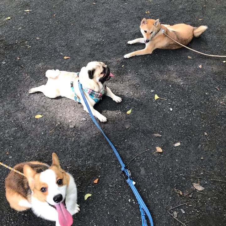 Ef6b7c6c 4fdc 4b72 853f dd5747ff9883 1563448457087