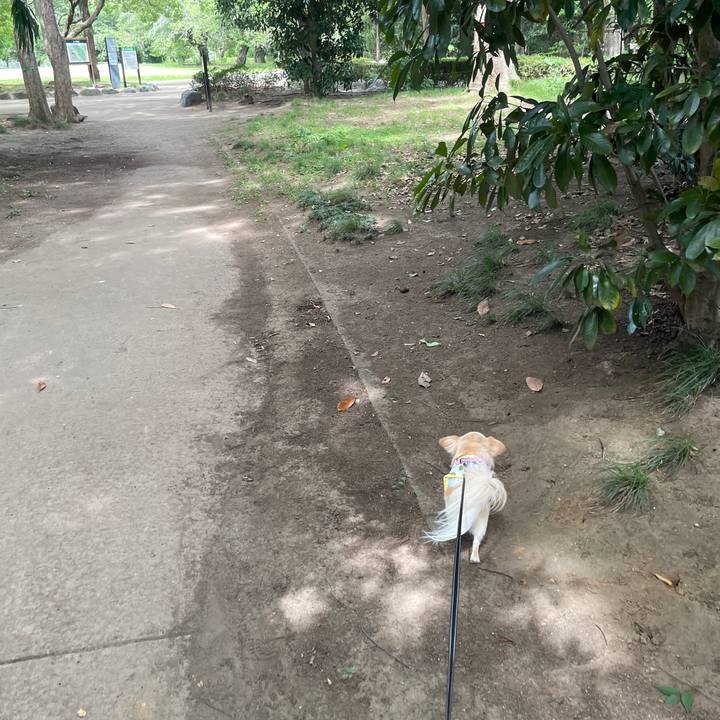 Ef6b8551 dde5 4403 8339 2424e56d3945 1752911279340