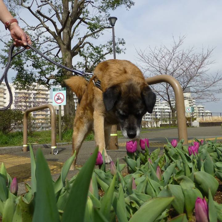 Ef6bb157 ee46 401d 8469 edc6b7520626 1578702072158