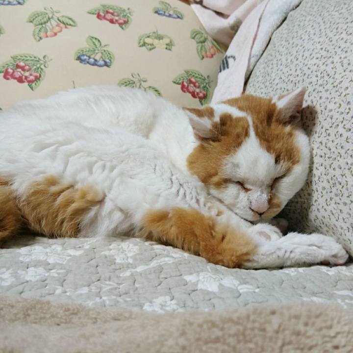 Ef6bb33f 7c93 4600 932b 0634b659754d 1566299881861