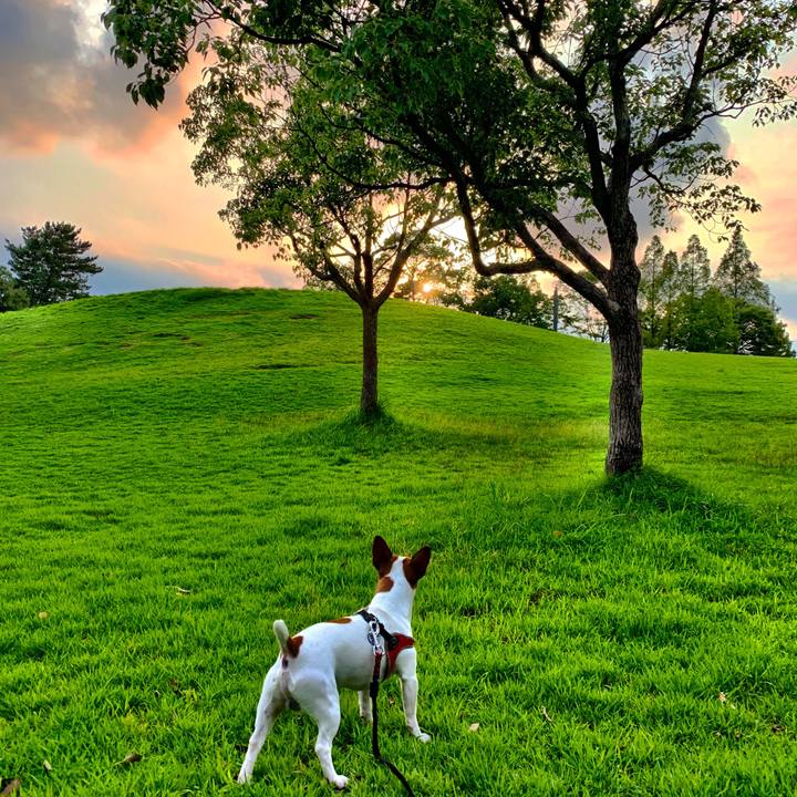 Ef6bb4d1 aabc 42cf 8fe6 d5c3a33b3035 1563363222854