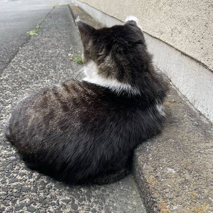 Ef6be99a 620a 4604 a78e 3301aade14e3 1655024617672