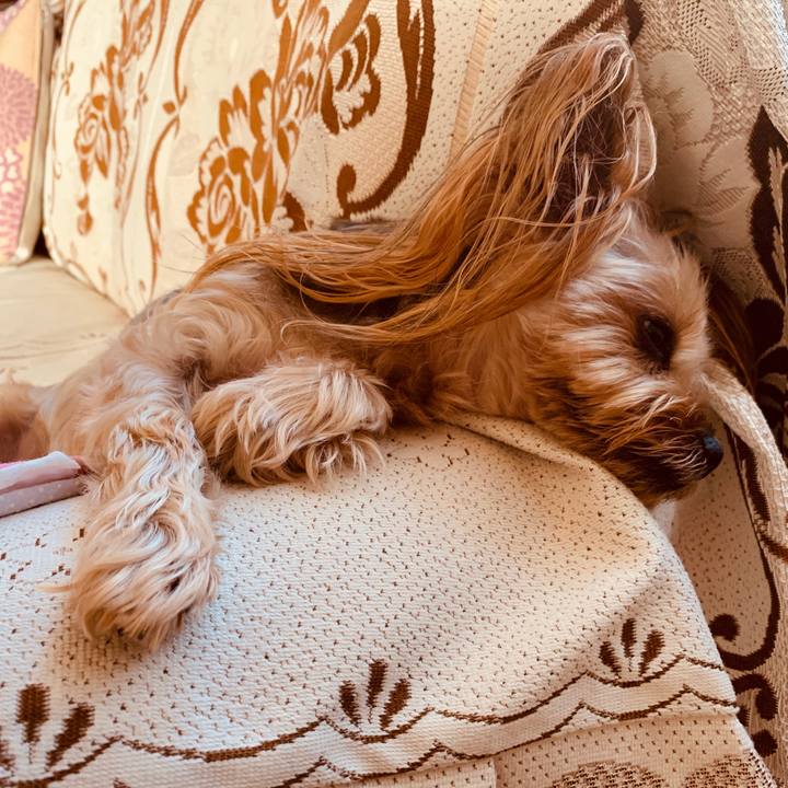 Ef6c2d54 0966 4fd1 ae84 c8776d8514a4 1539417497256