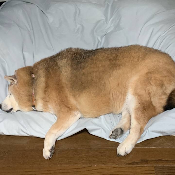 Ef6c4ea2 6995 4210 b447 e9938f75e736 1648905443666