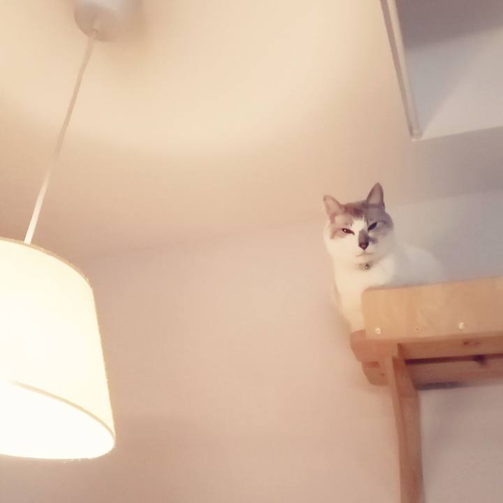 Ef6c64b8 cc68 4dc7 af23 29a74f2a8759 1575710273959