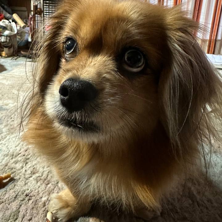 Ef6c6a57 8670 4201 b344 460a70c3f08c 1703541134450