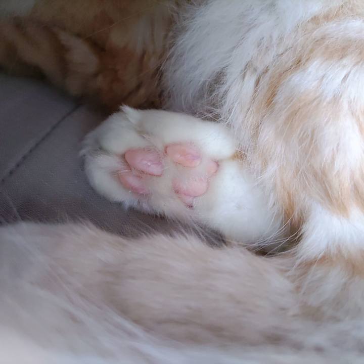 Ef6c78e5 f004 4e66 b6e7 65eae01bac34 1669422762530