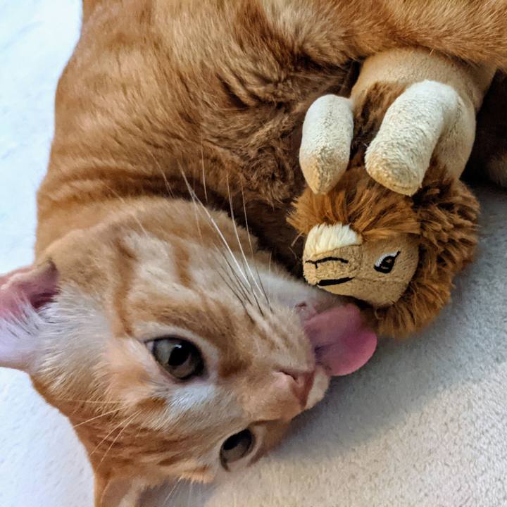 Ef6c90a2 1304 4d89 bcf1 02bc5fc8a885 1634352497876