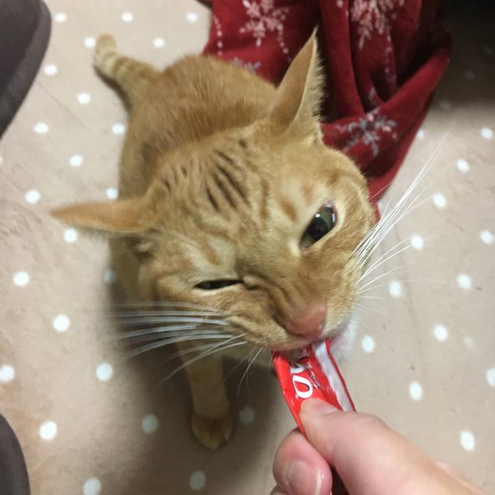 Ef6cd49c 9695 4f81 96a8 67e8b4fb1eea 1513088654244