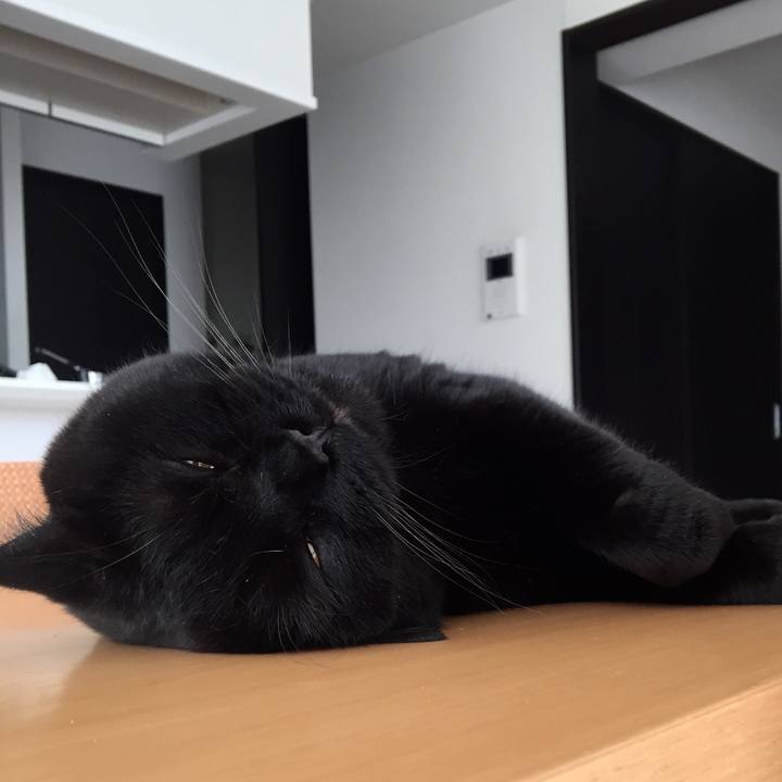 Ef6d13b4 1eb9 4a1e a811 f266cd2b60e0 1528247431498