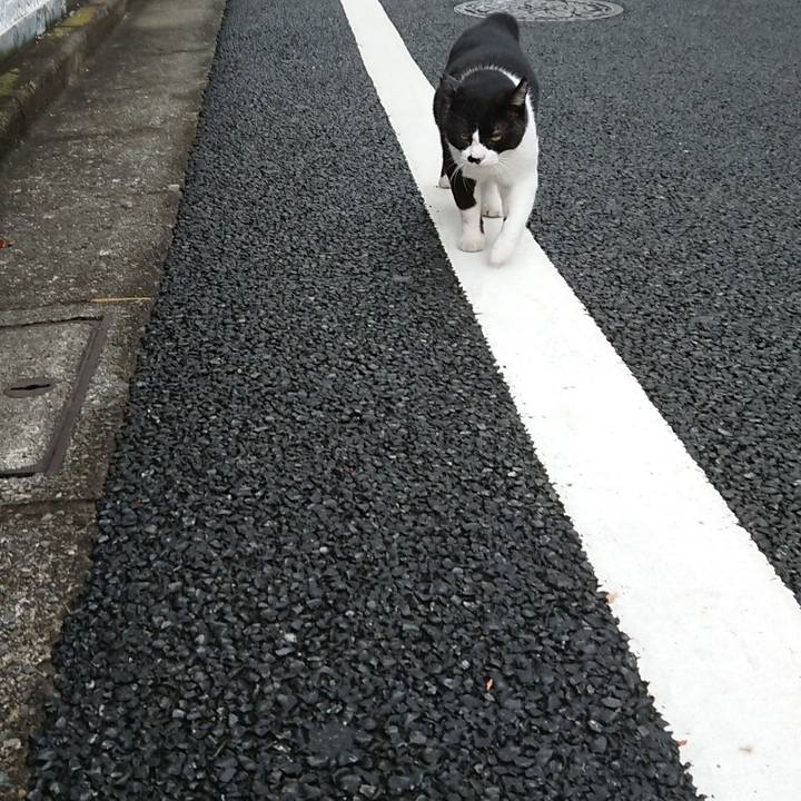 Ef6d3a06 699f 4d3a 8506 895a158a45f4 1599034027398