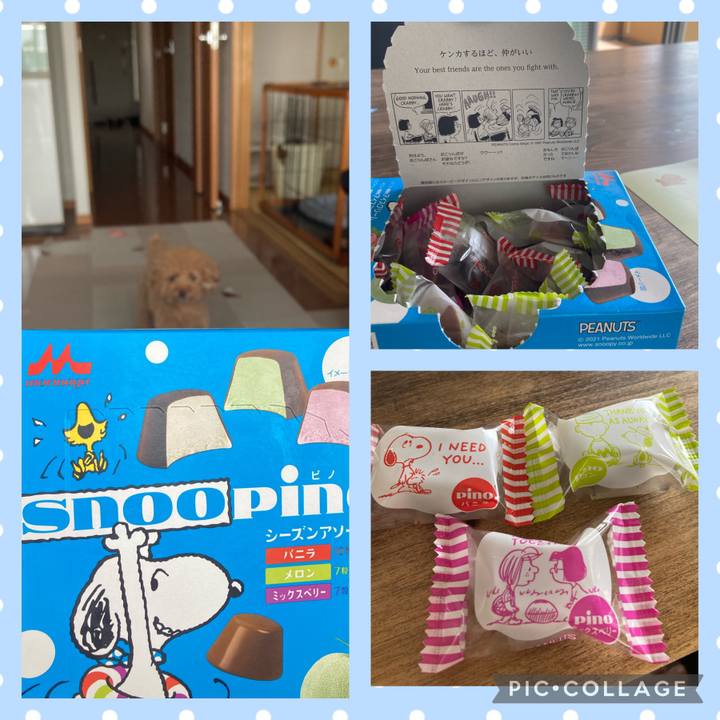 Ef6d4eff dcb3 4524 9c59 9851b19be887 1623593859260