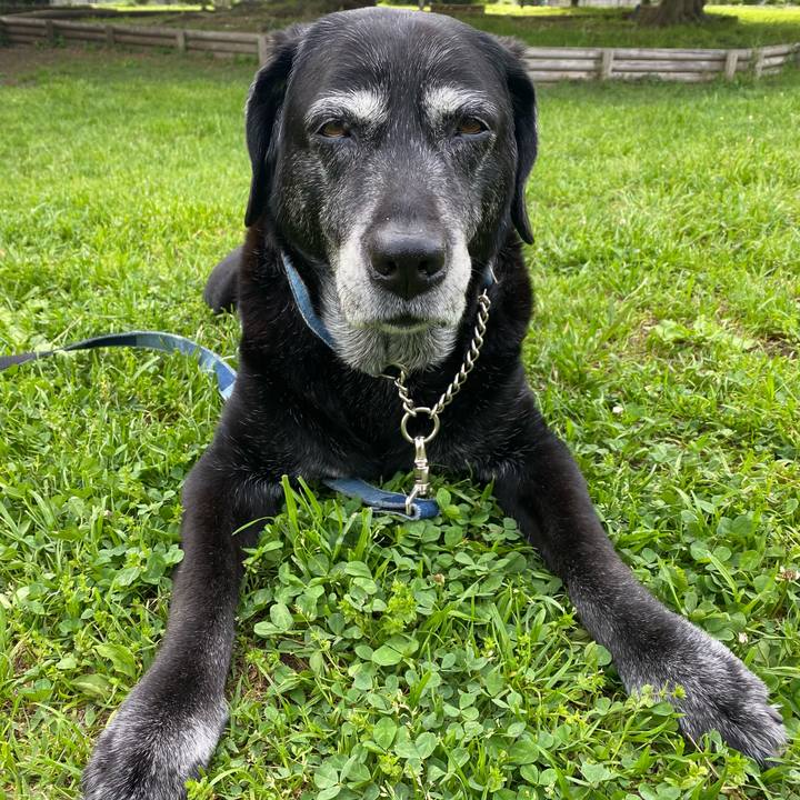 Ef6d66b5 2f07 405a 892e 65576ba0ee4b 1714309800009