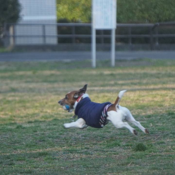 Ef6d71c7 a29b 4e33 8ac1 dce5c5aa38b4 1582844492674