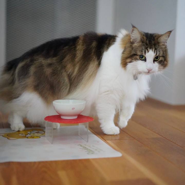 Ef6d8032 aea8 41ab b4c6 1f4292332da6 1665798133879